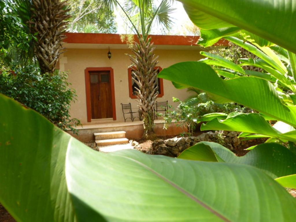 The Flycatcher Inn Retreat Hotel Santa Elena Bagian luar foto