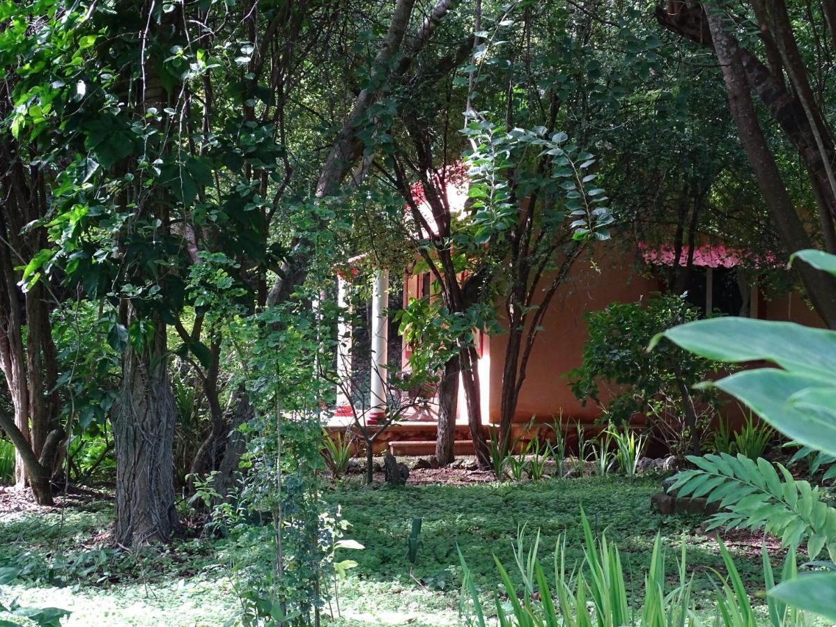 The Flycatcher Inn Retreat Hotel Santa Elena Bagian luar foto