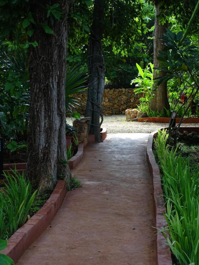 The Flycatcher Inn Retreat Hotel Santa Elena Bagian luar foto