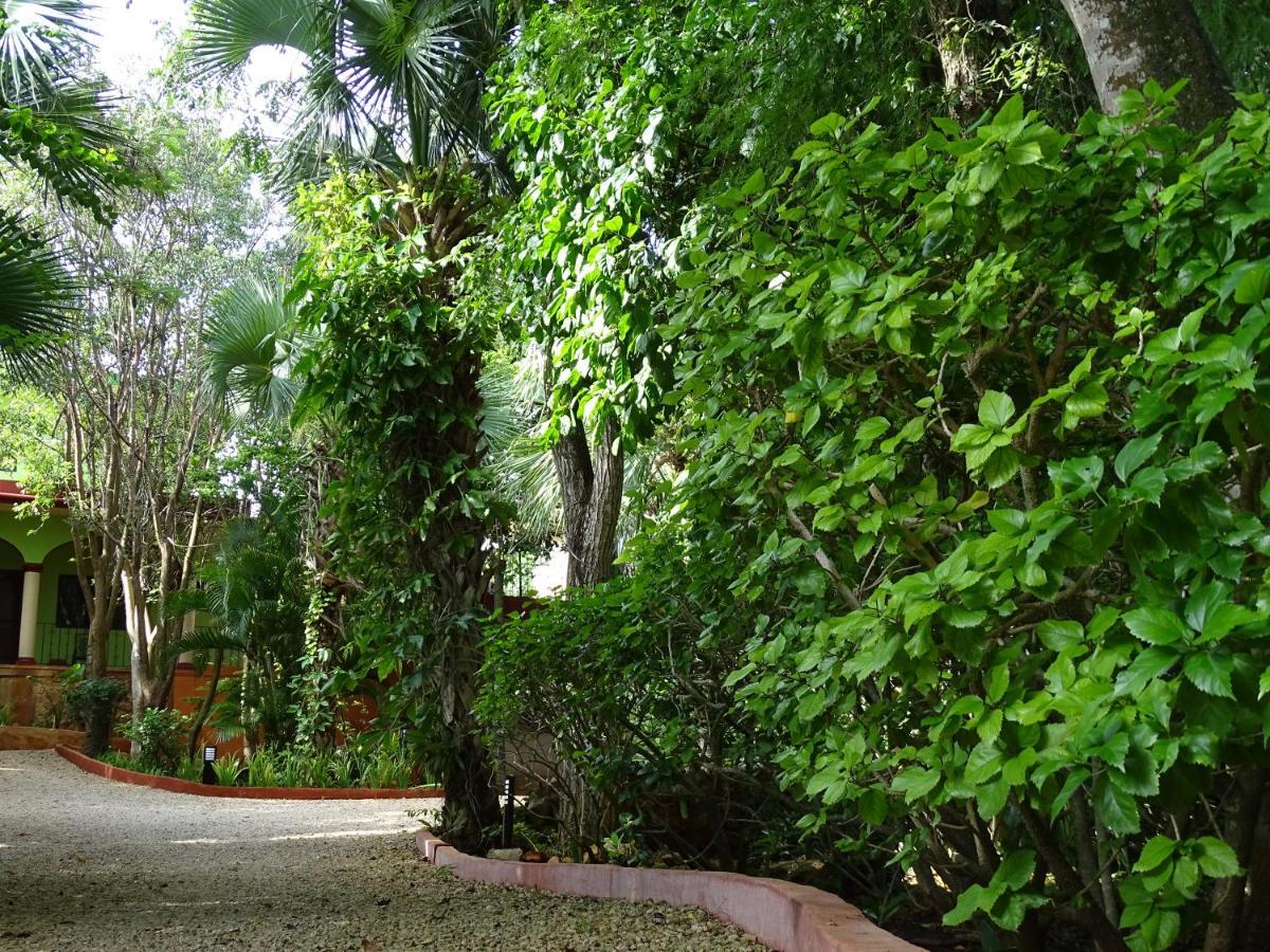 The Flycatcher Inn Retreat Hotel Santa Elena Bagian luar foto